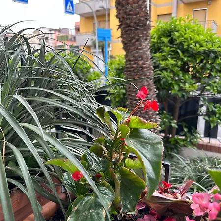 Pompei Blu Sant'auri スカファーティ